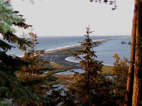 Scenic Washington Dungeness Spit