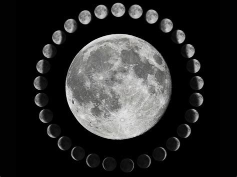 Cancer Full Moon 2023 Spiritual Counselling