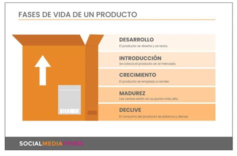 Ciclo de vida del producto cómo conocer las etapas