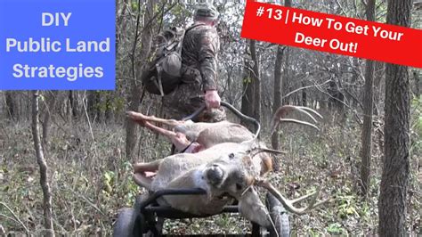 DIY Public Land Stategies 13 Getting Your Deer Out YouTube