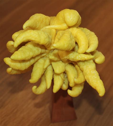 Tickety Boo Health Coaching Lemon Juice Or Lemon Zest