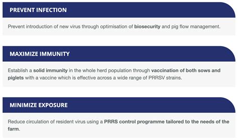 The Bi Approach To Prrs Control