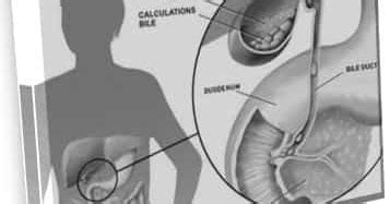 Bile Function - ReadyyGo