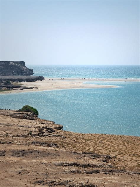 The 15 Best Places To Visit In Salalah 2024 The Restless Beans