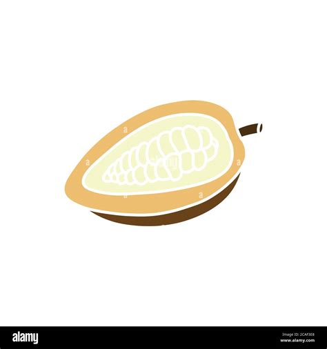 Cacao Fruit Doodle Icon Vector Illustration Stock Vector Image Art