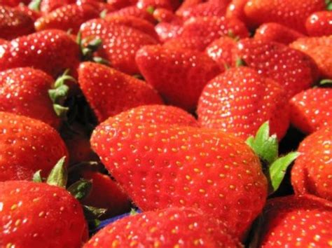 Fragole Tutte Le Varietà Agrodolce