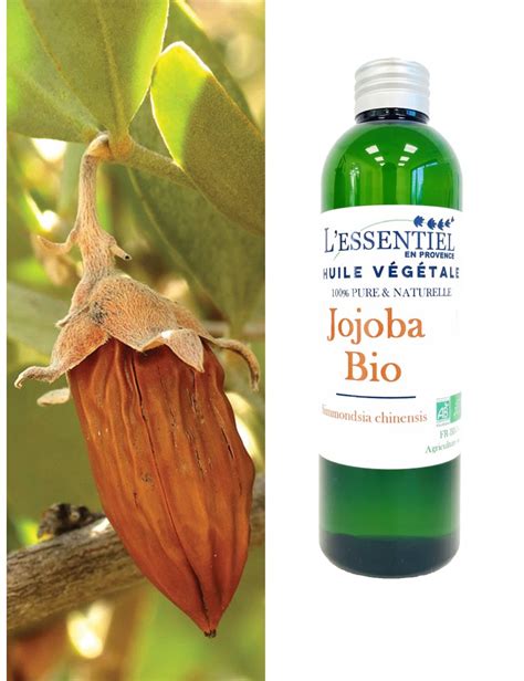 Huile végétale Biologique de Jojoba L essentiel en Provence