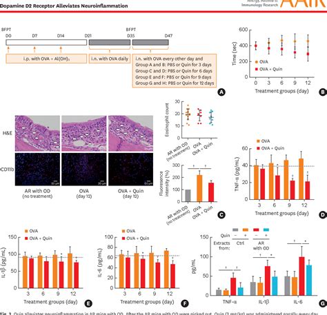 Figure 3 From Activation Of Dopamine D2 Receptor Alleviates