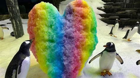 Lyle Shelton Hits Out At Fake Gay Penguins At Sea Life Aquarium In