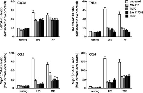 Effect Of Nf B Inhibitors On Inflammatory Cytokine Gene Expression