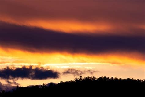 Free Picture Evening Fisherman Forest Marina Sunset Sunspot Pier