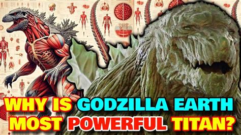 Godzilla Earth Anatomy Explored How Did Godzilla Converted Into A