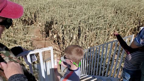 Lookout Tower Mccalls Corn Maze It Did Not Help Much Youtube