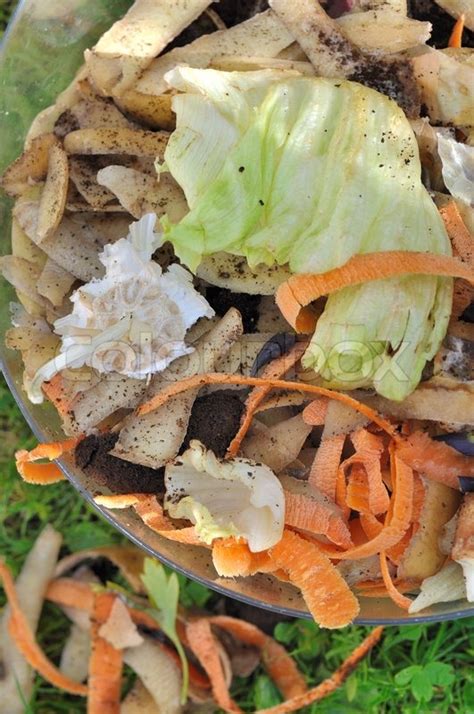 Vegetable peelings for compost | Stock image | Colourbox