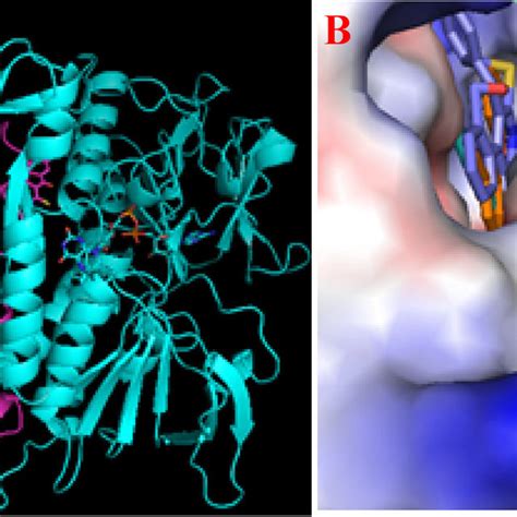 A Binding Of The Ten Ligands To The Dimer Trypanothione Reductase PDB