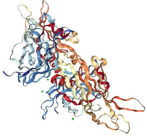 Synaptotagmin 1syt1 Protein Overview Sino Biological