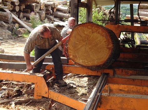 Sourcing Wood for our Benches - Friends of the South Downs