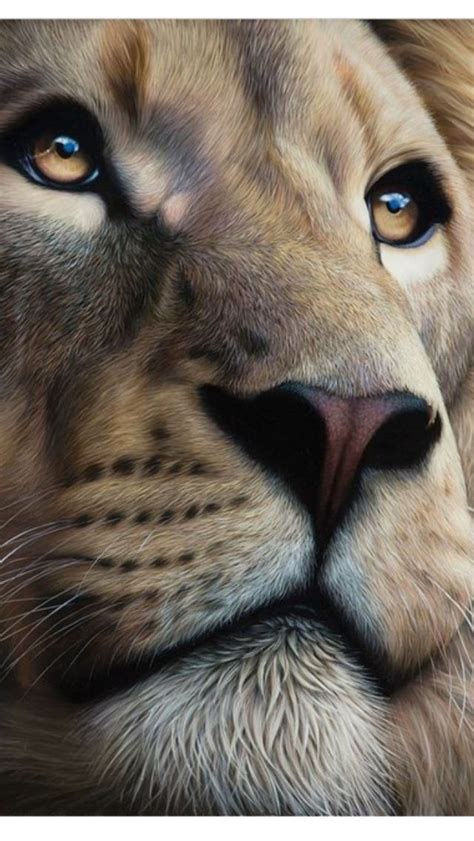 Realistic Lion Painting At Explore Collection Of
