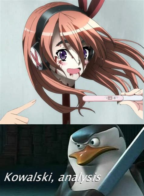Sumimasen Nani The Fuck R Animemes