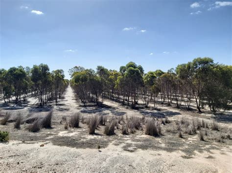 The Woodside Company secret for reducing carbon emissions fast 10