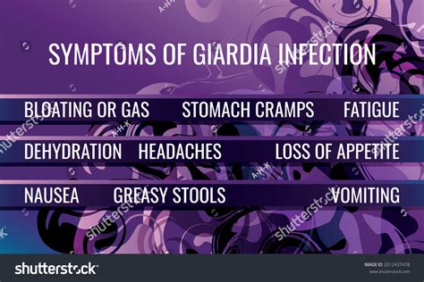 Symptoms Giardia Infection Vector Illustration Medical Stock Vector ...