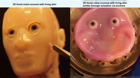 Who Is Shoji Takeuchi University Of Tokyo Professor Develops Humanoid