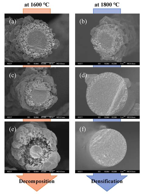 The Cross Sectional SEM Images Of Polycrystalline SiC Fibers Fabricated