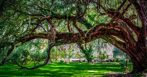 Southern Accents Photograph By Optical Playground By Mp Ray Fine Art America