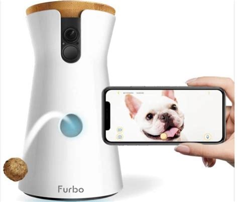 Los Mejores Gadgets Para Perros Y Gatos De Tecno