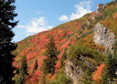 Three hikes to see autumn leaves in Salt Lake County - Axios Salt Lake City