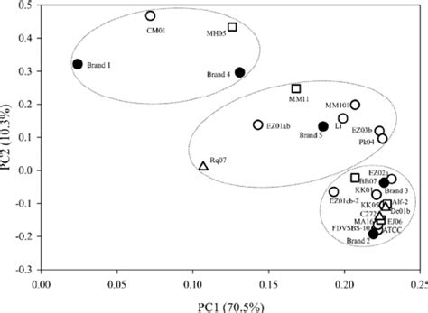 Principal Component Analysis Pca Of Volatile Compounds Observed In Download Scientific