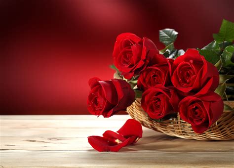 Valentine's Day Flowers Wallpapers - Wallpaper Cave