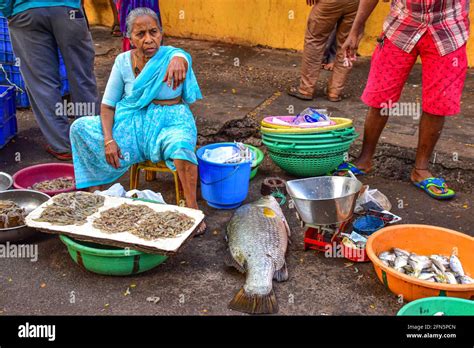 Fish Market Panaji Goa India Hi Res Stock Photography And Images Alamy