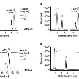 Hplc Chromatograms Of Reaction Mixtures Consisting Of Ef And The