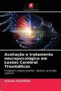 Avalia O E Tratamento Neuropsicol Gico Em Les Es Cerebral Traum Ticas