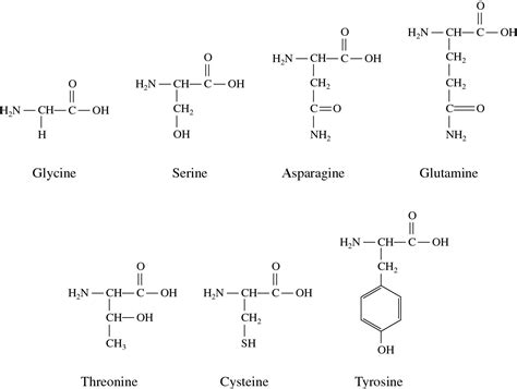 The Properties Of Hydrophilic Polar And Non Polar Molecules