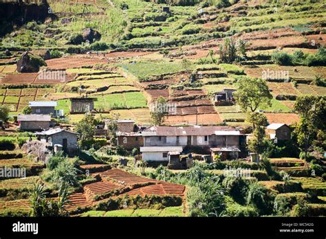 Horizontal View Of The Small Village In The Tea Plantations In Nuwara