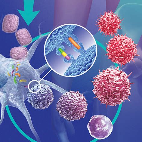 Principles of Cancer Therapy - Ask Hematologist | Understand Hematology