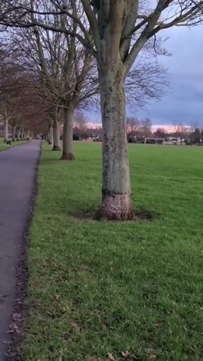 Doncaster Town Fields Park London Shorts Subscribe Viral Park