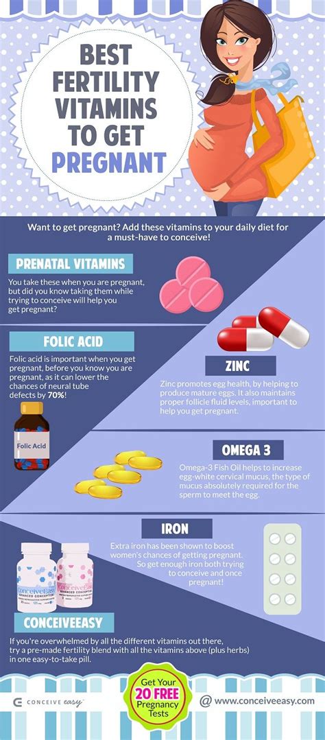 Top 6 best fertility vitamins – Artofit