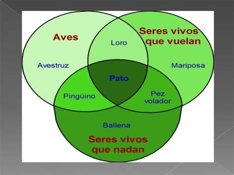 Diagrama De Venn Para Niños De Tercero De Primaria Teoria D