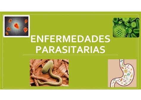 Enfermedades Parasitarias Talia Udocz