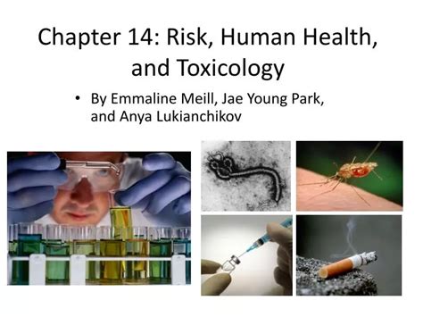 PPT Chapter 14 Risk Human Health And Toxicology PowerPoint