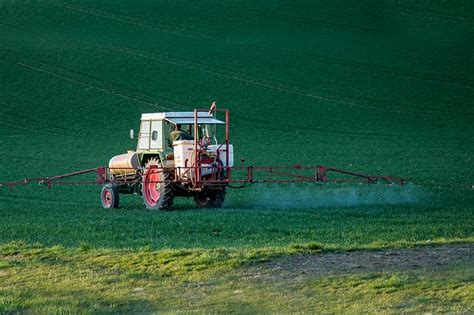 Pesticide Pollution: 5 Steps to Reduce Your Impact