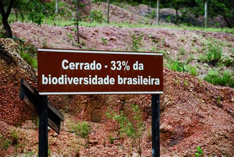 Chapada dos Veadeiros desbravando o Cerrado e o berço das águas