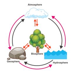 What is Biosphere? - Definition, Resources with Examples & Images