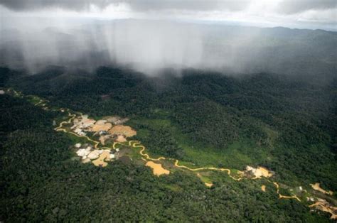 Mineração e garimpo degradam Amazônia em 3 3 milhões de hectares