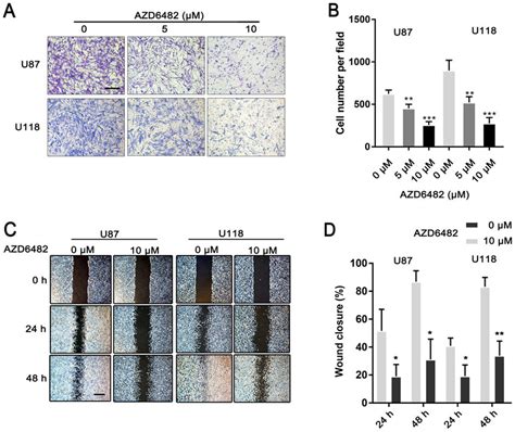 Azd6482 Inhibits Glioblastoma Cell Migration And Invasion A The