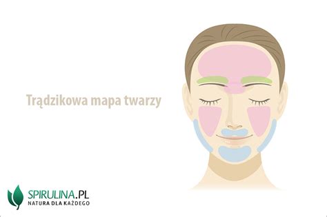 Trądzikowa mapa twarzy algi Spirulina i Chlorella