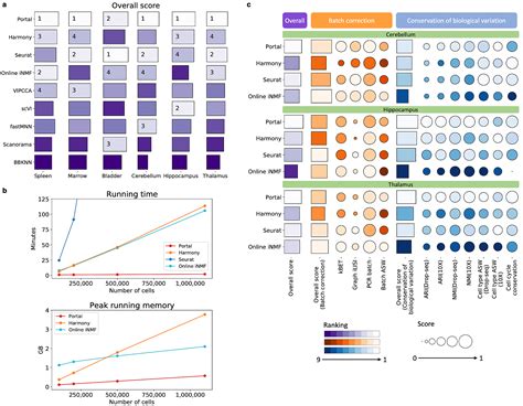 Adversarial Domain Translation Networks For Integrating Large Scale